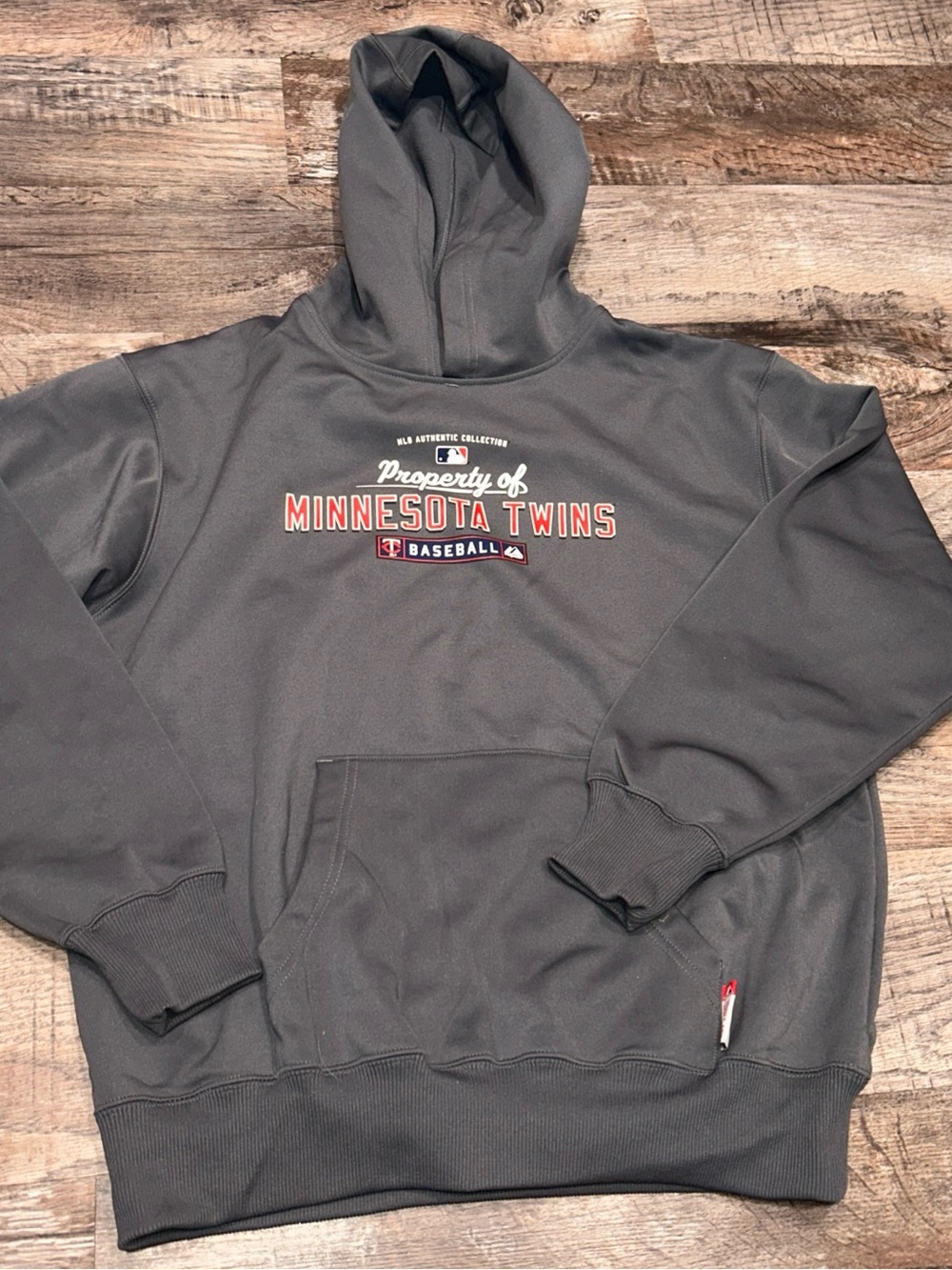 Minnesota Twins Gray MLB Hoodie - XL Men's Pullover Sweatshirt